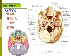 爱游戏网页版-rao抡